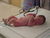 Brandon sleep_tiny